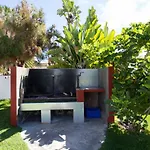 La Gaviota - Palmeras