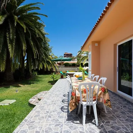 La Gaviota - Palmeras Icod De Los Vinos