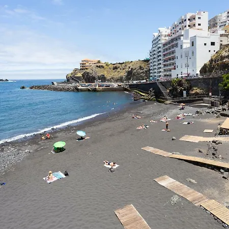 Сasa de vacaciones La Gaviota - Palmeras