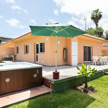 La Gaviota - Palmeras Icod De Los Vinos