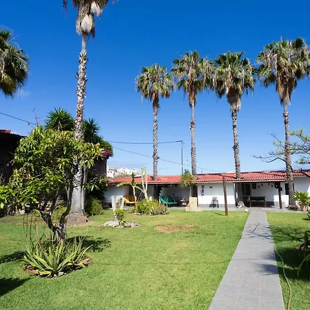 La Gaviota - Palmeras * Icod de los Vinos