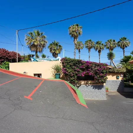 La Gaviota - Palmeras