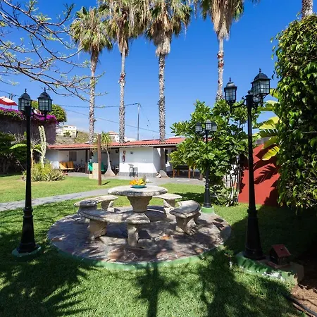 La Gaviota - Palmeras Icod De Los Vinos