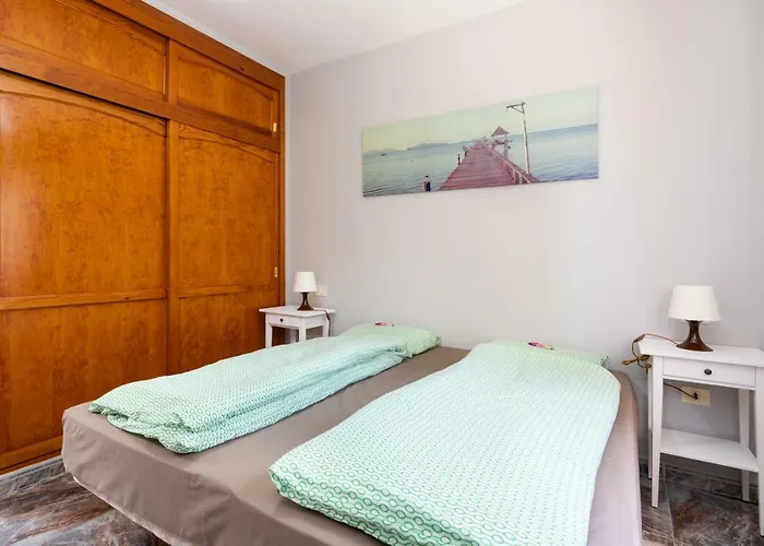 La Gaviota - Palmeras Icod de los Vinos