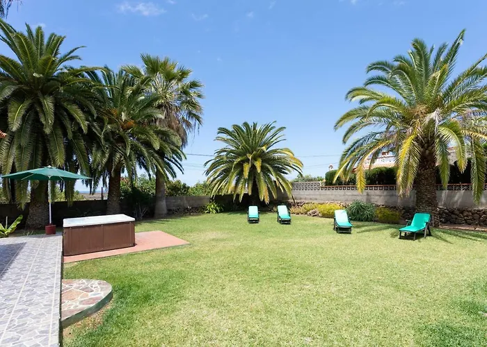 La Gaviota - Palmeras