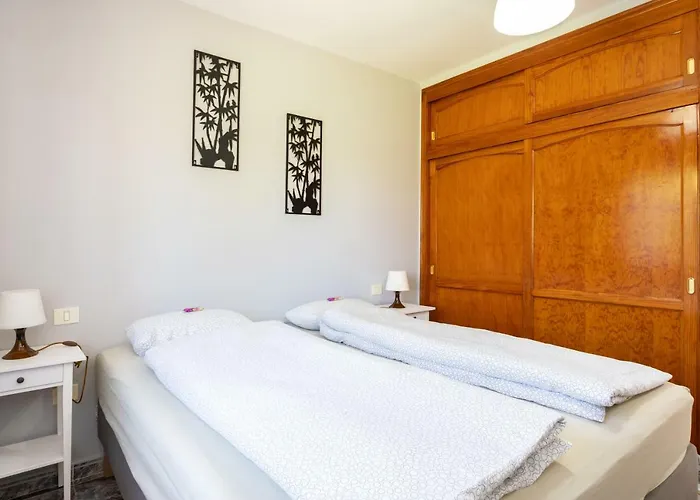 La Gaviota - Palmeras Nyaraló *