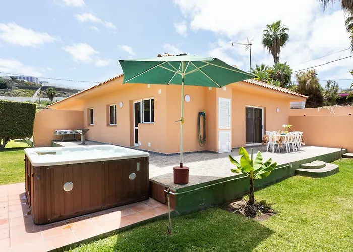 La Gaviota - Palmeras Icod de los Vinos