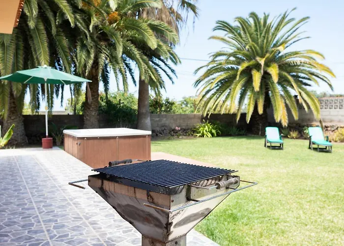 La Gaviota - Palmeras *