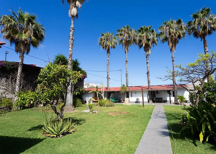 La Gaviota - Palmeras * 이코드레로스비노스