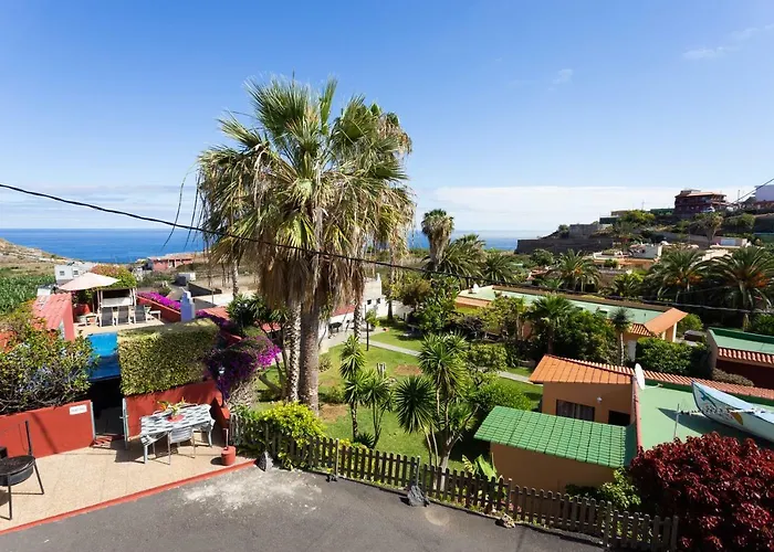 La Gaviota - Palmeras Nyaraló *