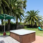 La Gaviota - Palmeras *