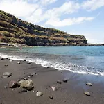La Gaviota - Palmeras 伊科德·德·洛斯·维诺斯