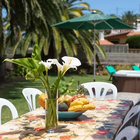 La Gaviota - Palmeras- Jacuzzi Privado *