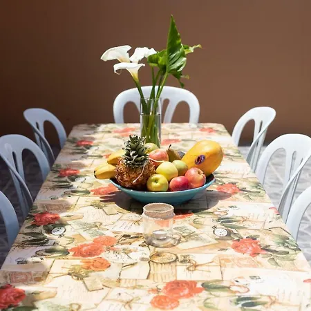 La Gaviota - Palmeras Icod De Los Vinos