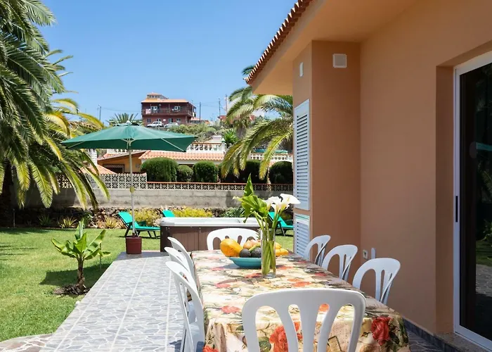 La Gaviota - Palmeras