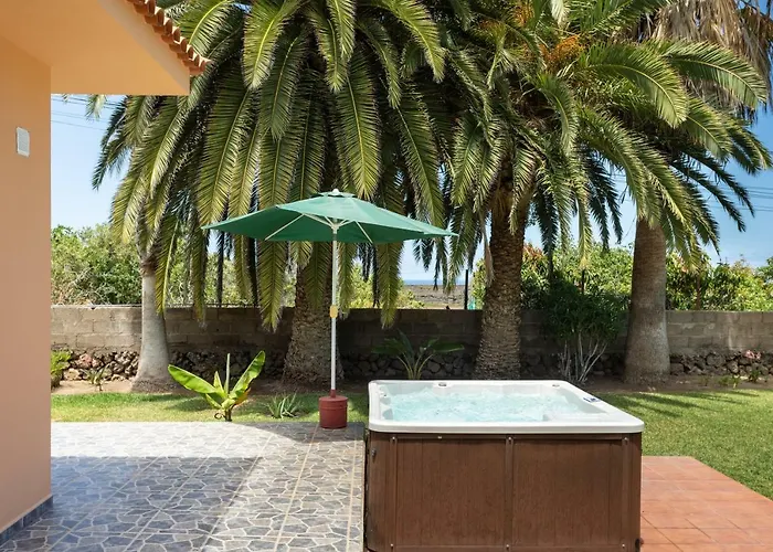 La Gaviota - Palmeras *