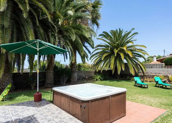 La Gaviota - Palmeras *