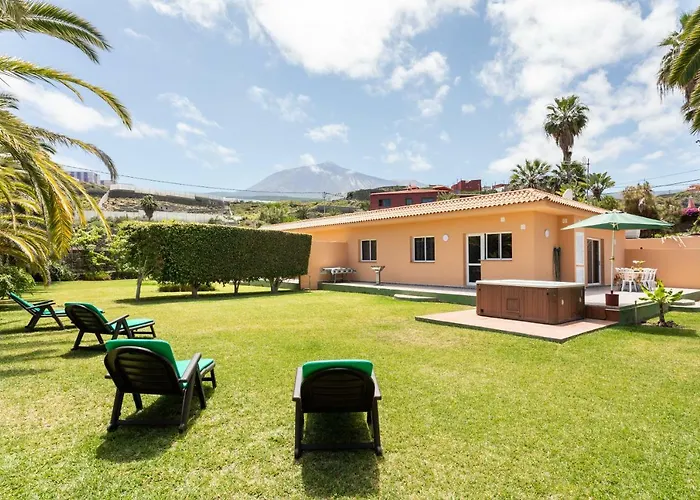 La Gaviota - Palmeras