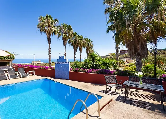 La Gaviota - Palmeras