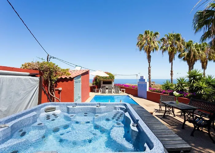 La Gaviota - Palmeras イコー・デ・ロス・ビノス