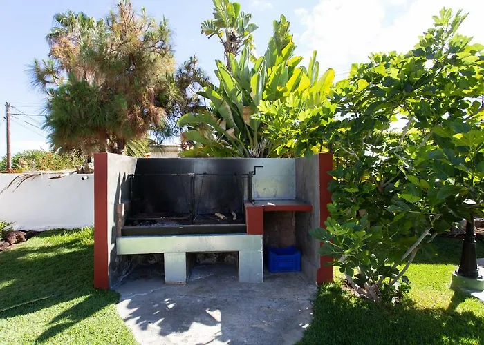 La Gaviota - Palmeras