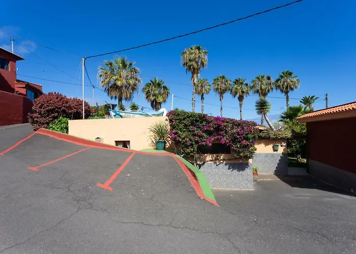 La Gaviota - Palmeras