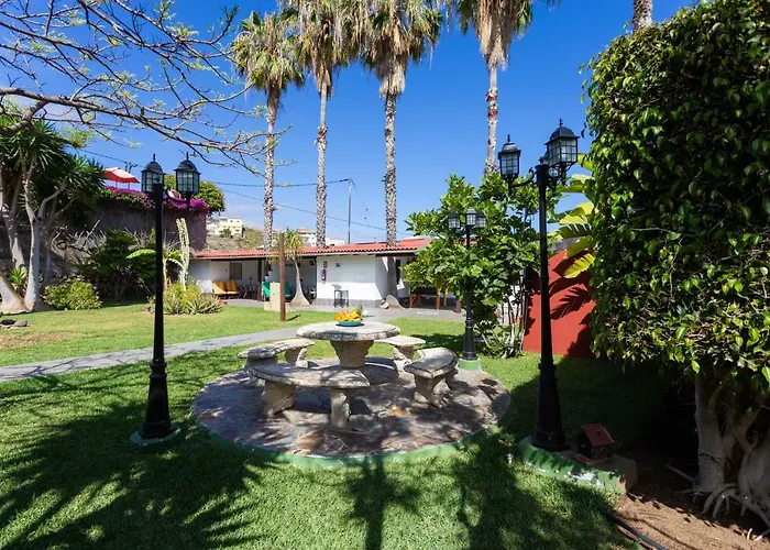 La Gaviota - Palmeras イコー・デ・ロス・ビノス