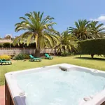 La Gaviota - Palmeras