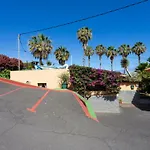 La Gaviota - Palmeras