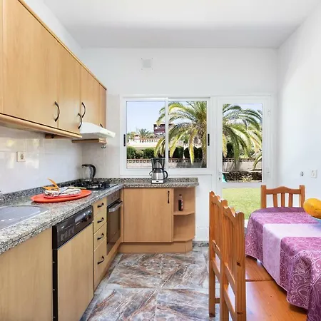 La Gaviota - Palmeras Nyaraló Icod de los Vinos