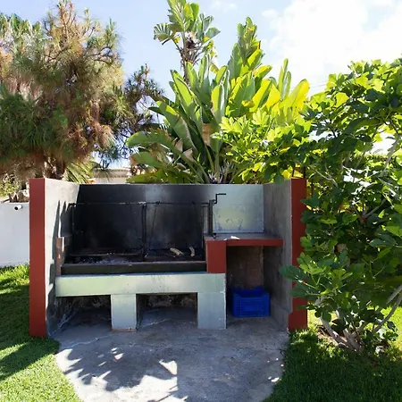 La Gaviota - Palmeras