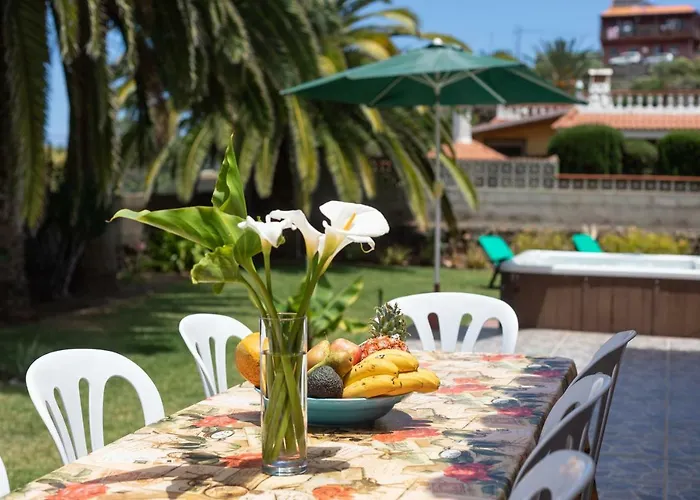 La Gaviota - Palmeras *