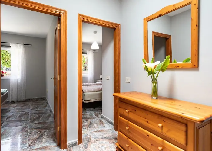 La Gaviota - Palmeras Icod De Los Vinos