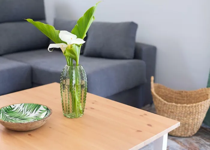 Hébergement de vacances La Gaviota - Palmeras