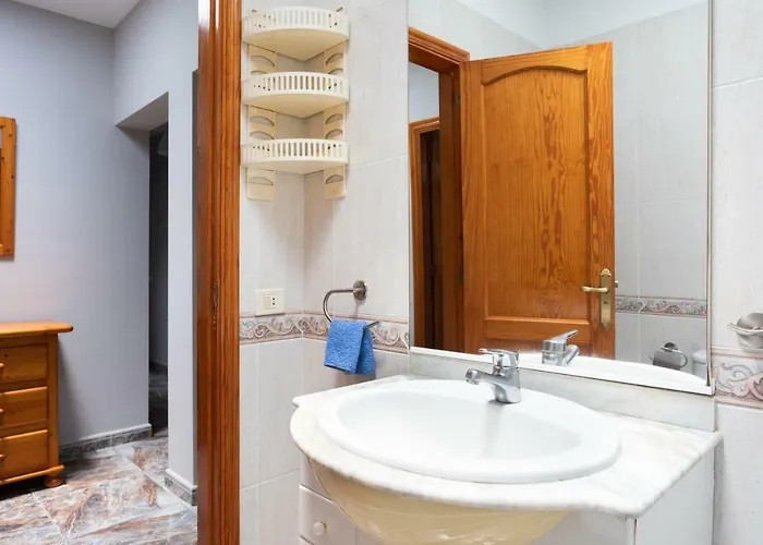 La Gaviota - Palmeras